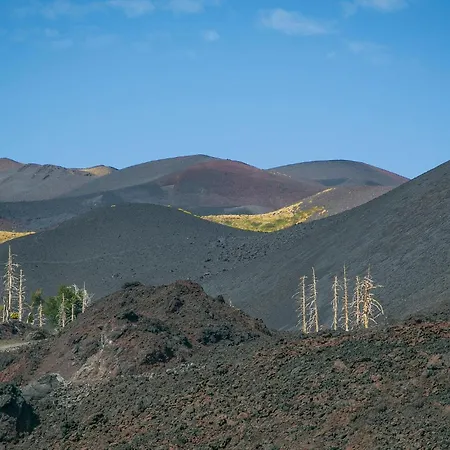 Apartmán 3 Bedroom Stunning In *